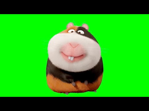 Норман (Тайная Жизнь Домашних Животных) Футажи (Перезалив)