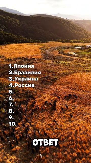 Проверка знаний 🫵💯