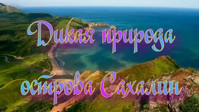 Дикая природа острова Сахалин