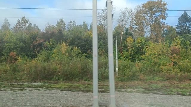 МИЛАЯ ОСЕНЬ🍁🍂🍃