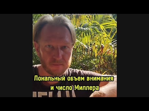Локальный объем внимания и число Миллера