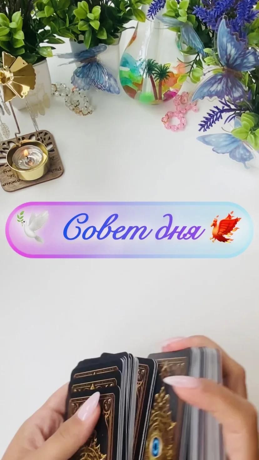 🕊️ Совет дня 🐦🔥