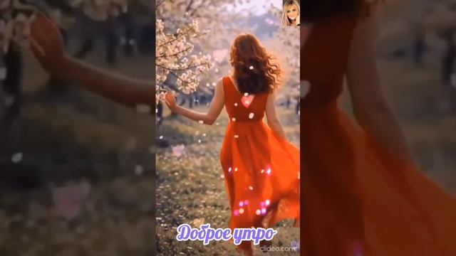 КЛИП ТЫ МОЁ УТРО