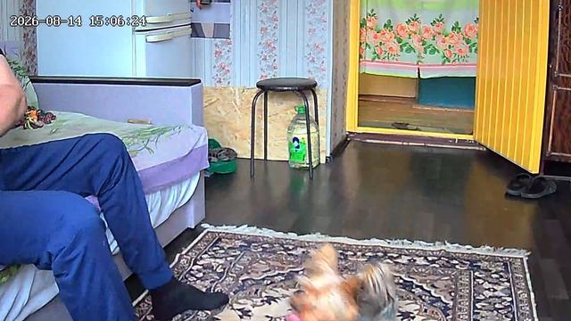 новый вариант игры