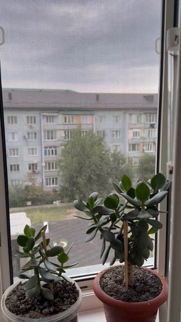 14.08.2026г.ПРАКТИКА НА ФИНАНСОВОЕ ИЗОБИЛИЕ