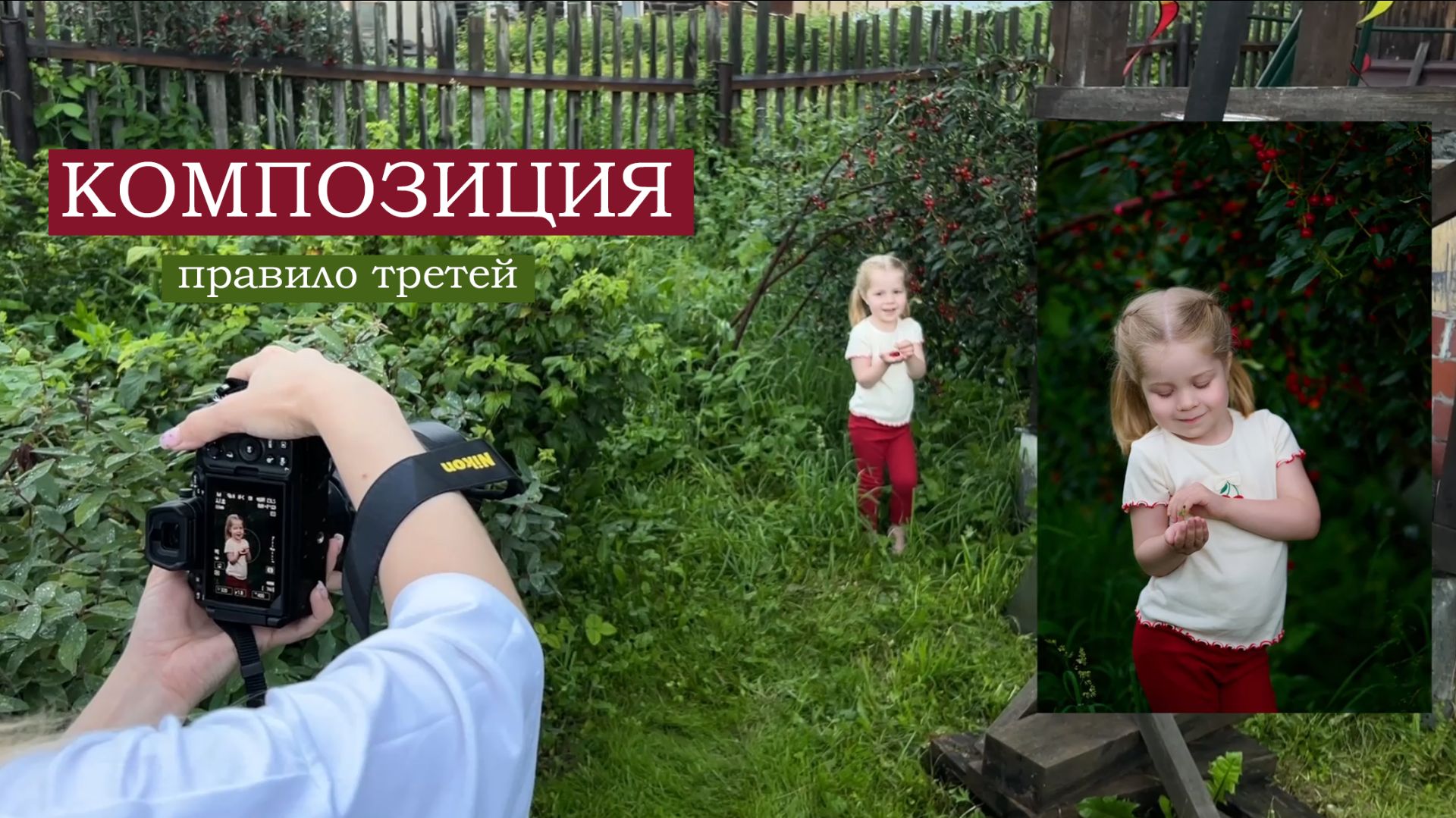 Правило композиции в фотографии. Правило третей. Видео для новичков