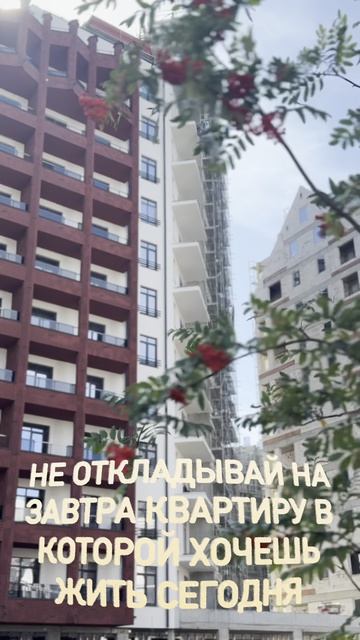 Квартиры в Русской Европе 89181563095