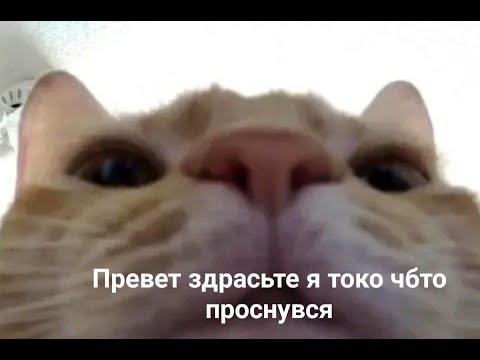 топ 5 игр на слабый пк (ролик идёт 1:22 минуты)