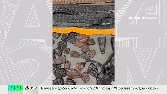 Телеканал «Москва 24», программа «Московский патруль», 13.08.2026