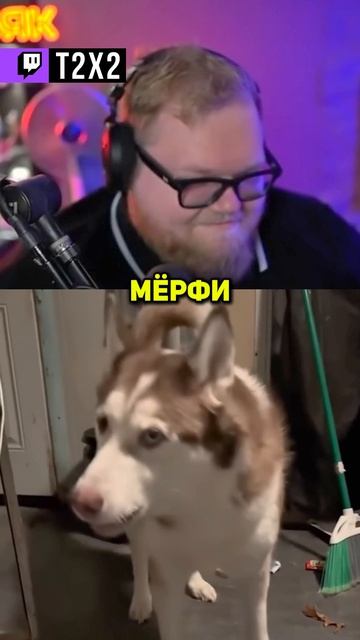 ХИТРАЯ СОБАЧКА 😇 - #t2x2 #т2х2 #twitch #реакция #юмор #мем #shorts