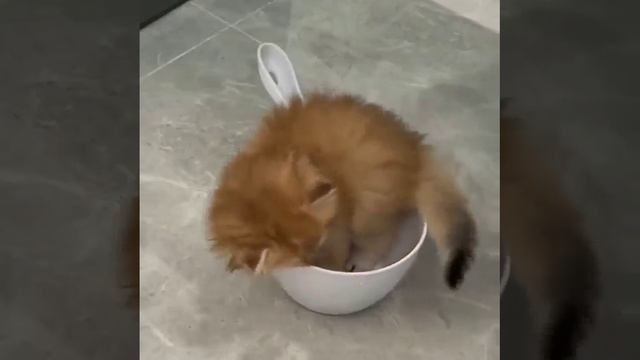 БЫВАЕТ