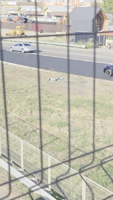 Бестрашная и беспощадная пробка в Краснодаре