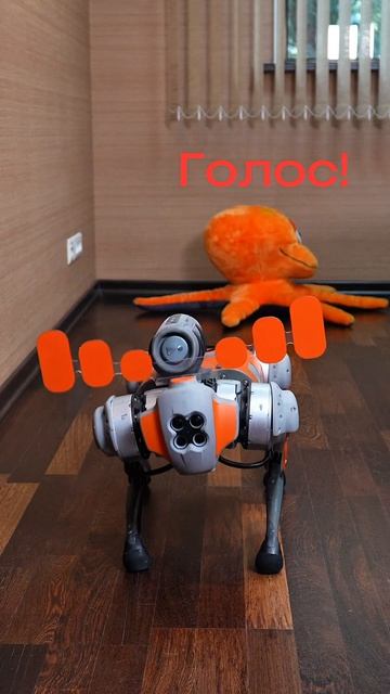 Байт выучил новое слово!