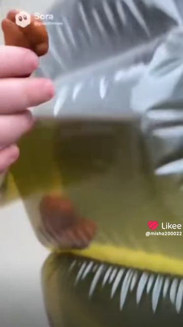вам нравятся ии видео