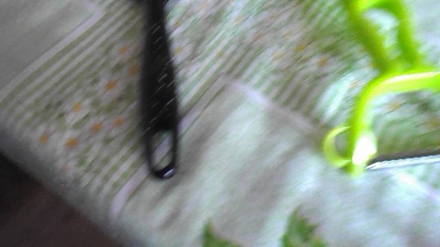 DSCN8736 Овощечистка для овощей,ложка  для мороженого
