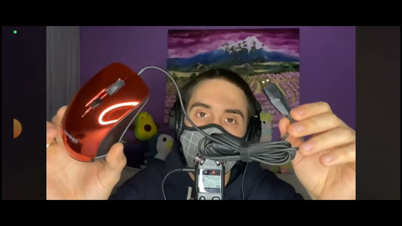 Филз ASMR  снимает продавец мышек