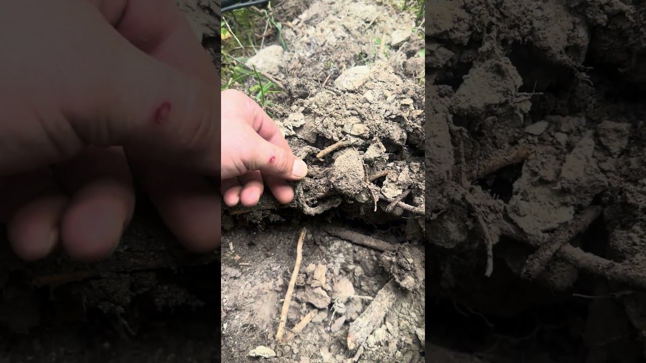 САМАЯ ЛУЧШАЯ НАХОДКА ЛЕТА #metaldetecting #находки #коп #копвпосадке #находкисметаллоискателем