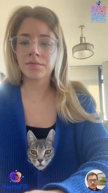 💻 Милые котики