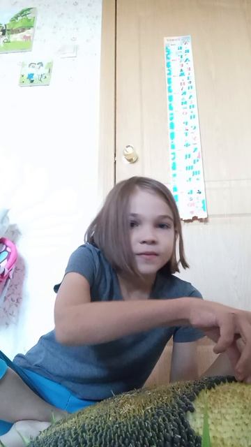 Огромный подсолнух🌻