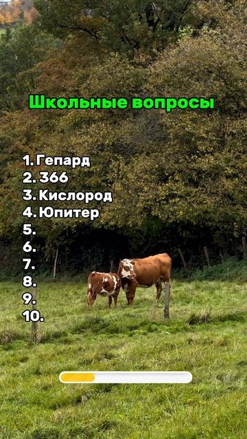 Хорошо учились в школе?💯