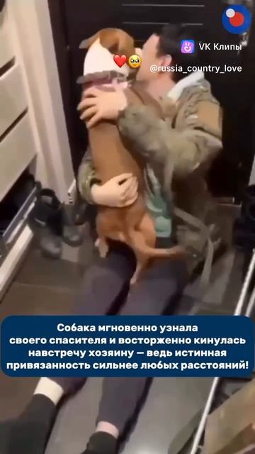 Спас собаку- получил любовь и преданность!