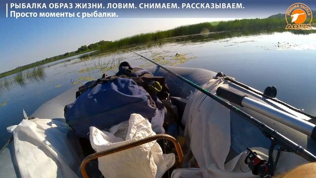 Моменты на рыбалке. #fishing #рыбалка