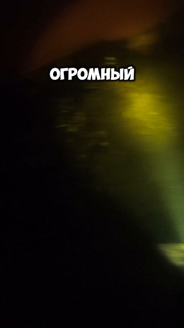 и так сойдет