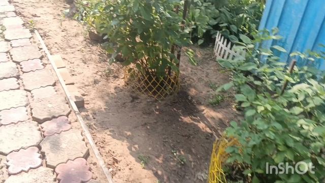мужское ставлю 1 сезон 2 серия тебе будет очень