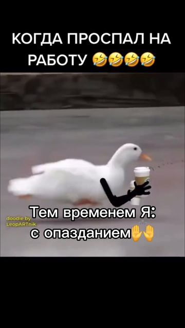 Прикол нарезка подборка смешных моментов
