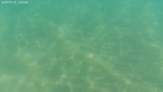 19.07.2026_2.18_18