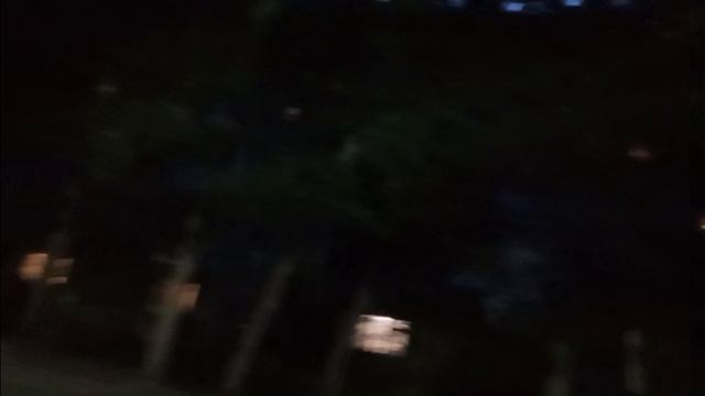 вечер в лесу 🍃 страшно? нет, весело 🥳