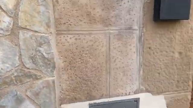 1000075007.mp4