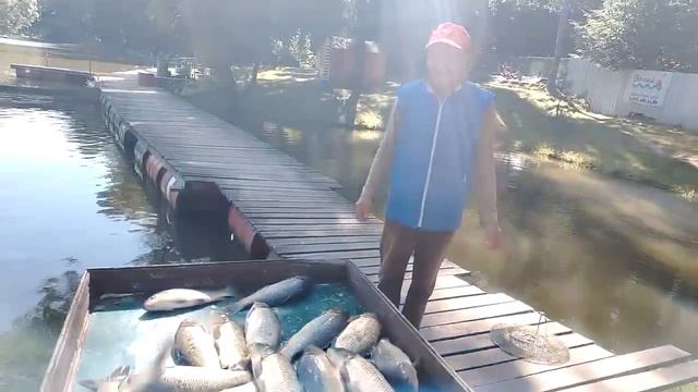 15.08.26 г. РК Волна.