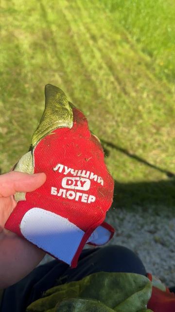 Перчатки