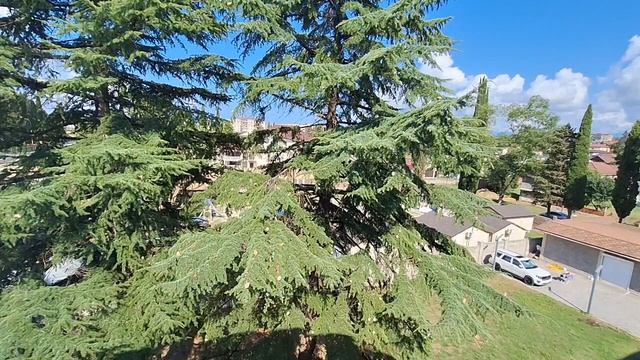 Прощаюсь с номером в отеле Волга, и едем до границы. Позже - в аэропорт и домой
