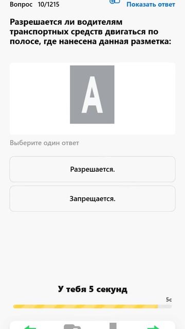 Разрешается ли водителям транспортных средств двигаться по полосе, где нанесена данная разметка