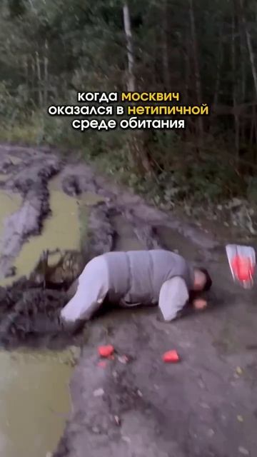 Москвич попал за МКАД.   Результат оказался ожидаем  Подписывайся
