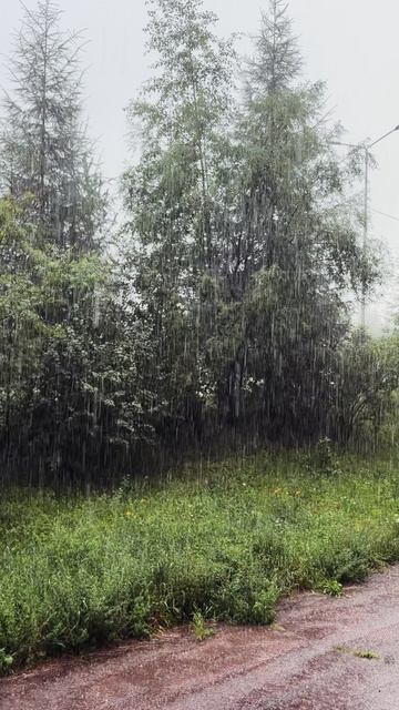 Дождь и музыка 