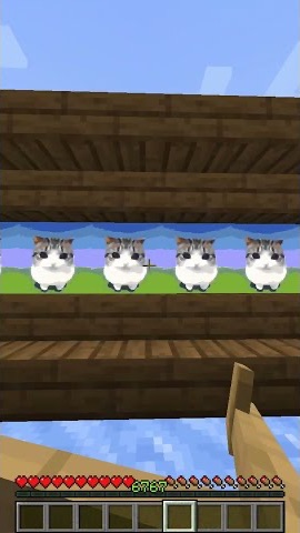 Dam Dam Di Di Di Di Cat Minecraft Boat Animation😻 #shorts #minecraft #memes