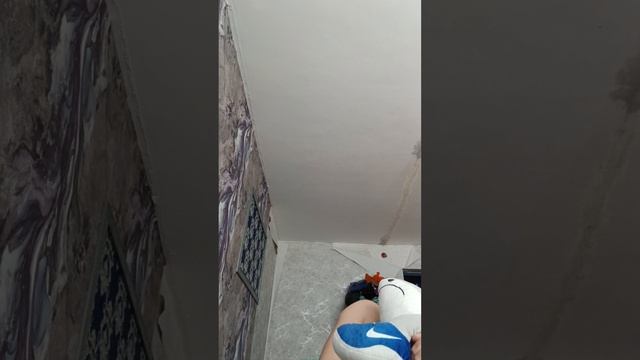 битвамонстр