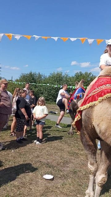 Если не смотреть по сторонамто можно представить Египет