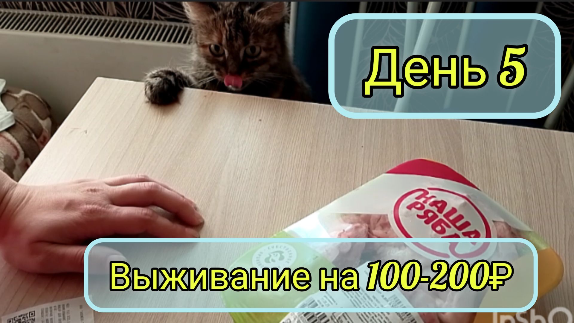 Выживание на 100-200 рублей