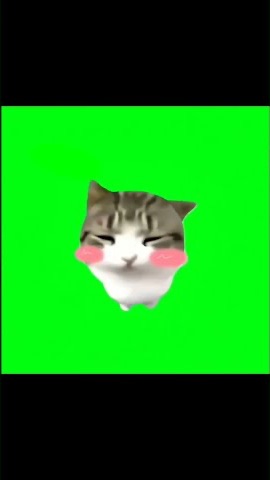 Dam Dam Di Di Di Di Cat Meme | Green Screen #cat #catmemes #brainrot #cats #meme #cute #fyp