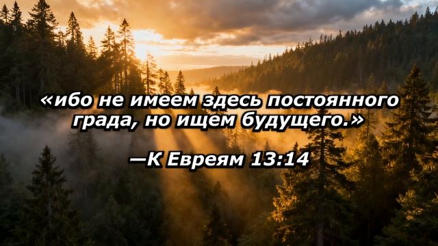 Стремлюсь достичь я тех высот 📖✝️ Песнь возрождения No 1565