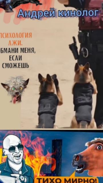 Разнос от Савелия
