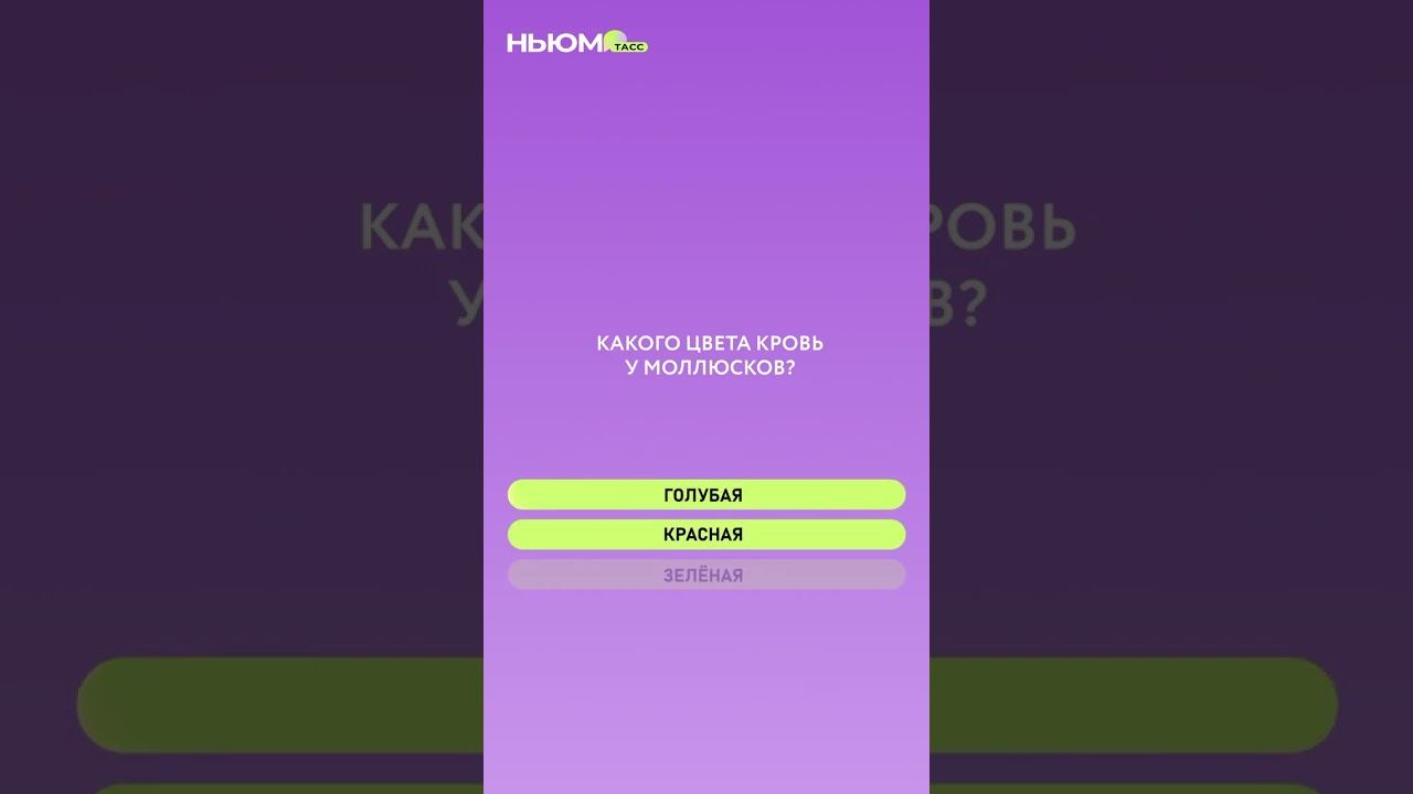 Синус косинус... уже звучат как заклинание?  Тогда эта викторина для вас.