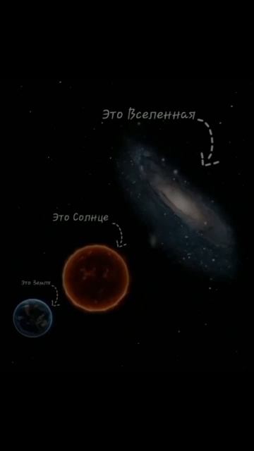 76 лет