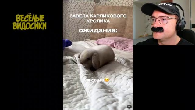 олеже смешные видосики