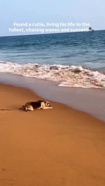 Притягивающее пугающее море.. 