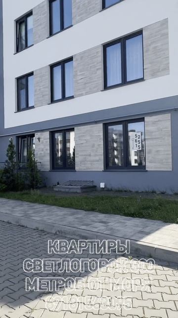 Квартиры в Светлогорске 89181563095